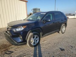 Toyota rav4 salvage cars for sale: 2021 Toyota Rav4 XLE