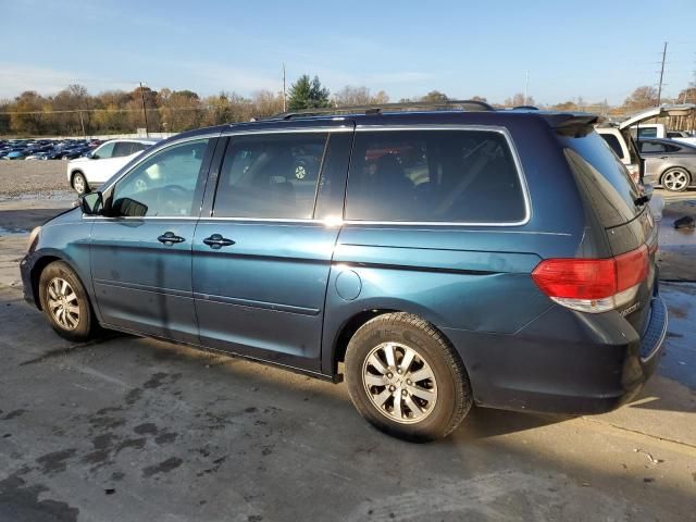 2010 Honda Odyssey EXL