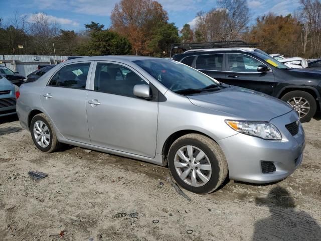 2010 Toyota Corolla Base