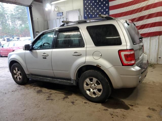 2011 Ford Escape Limited