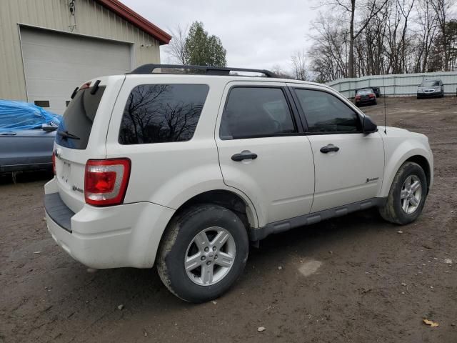 2009 Ford Escape Hybrid