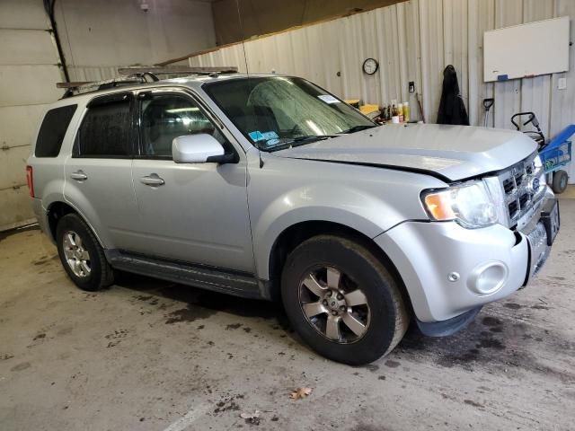 2011 Ford Escape Limited