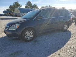 Honda Odyssey ex salvage cars for sale: 2007 Honda Odyssey EX