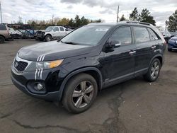 KIA Sorento salvage cars for sale: 2013 KIA Sorento EX