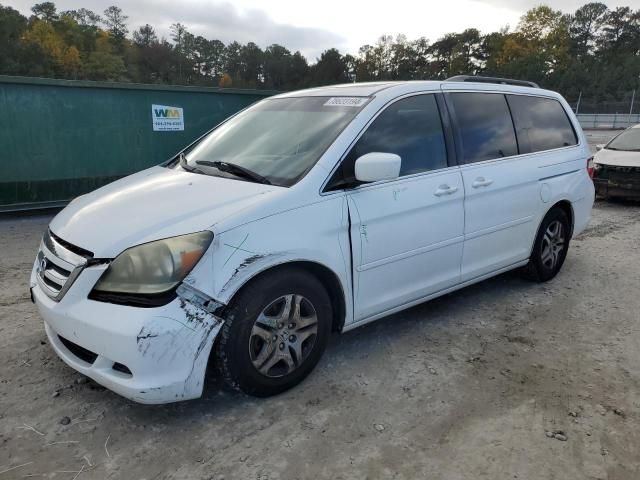 2005 Honda Odyssey EXL