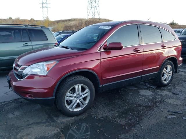 2010 Honda CR-V EXL