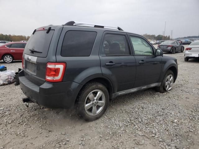 2009 Ford Escape Limited