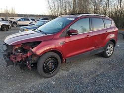 Ford Escape salvage cars for sale: 2016 Ford Escape Titanium