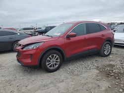 Ford Escape salvage cars for sale: 2020 Ford Escape SE