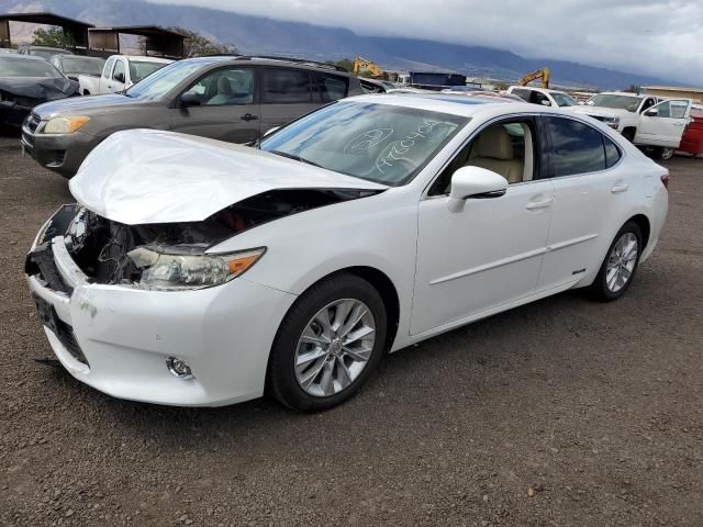 2014 Lexus ES 300H