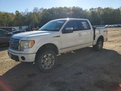 Ford f-150 salvage cars for sale: 2010 Ford F150 Supercrew