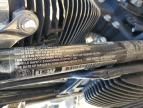 2023 Harley-Davidson Flhx