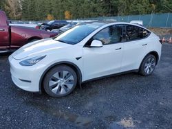 Tesla salvage cars for sale: 2022 Tesla Model Y