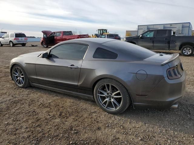 2014 Ford Mustang