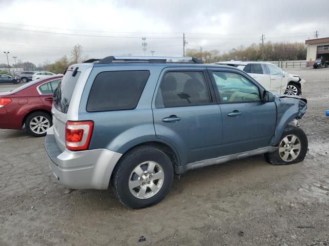 2010 Ford Escape Limited