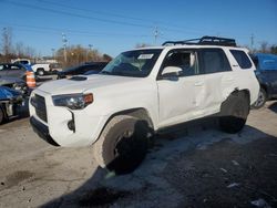 Toyota 4runner se salvage cars for sale: 2023 Toyota 4runner SE