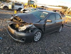 Toyota Corolla salvage cars for sale: 2013 Toyota Corolla Base