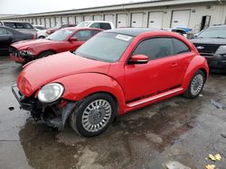 Volkswagen Beetle salvage cars for sale: 2013 Volkswagen Beetle