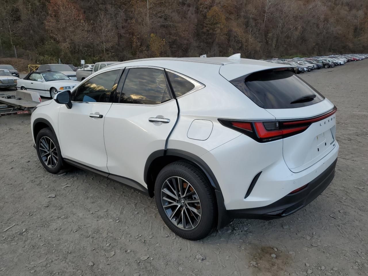 2024 Lexus NX 350H Base For Sale in Marlboro, NY Lot 79879***