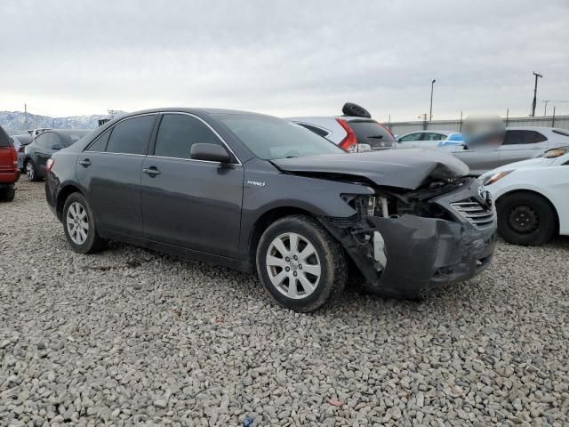 2009 Toyota Camry Hybrid