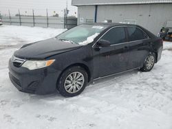 Vehiculos salvage en venta de Copart Colorado Springs, CO: 2014 Toyota Camry L