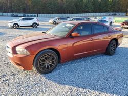 Dodge Charger salvage cars for sale: 2013 Dodge Charger R/T