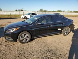 Hyundai Sonata salvage cars for sale: 2017 Hyundai Sonata Hybrid