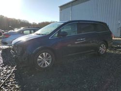 Honda Odyssey exl salvage cars for sale: 2017 Honda Odyssey EXL