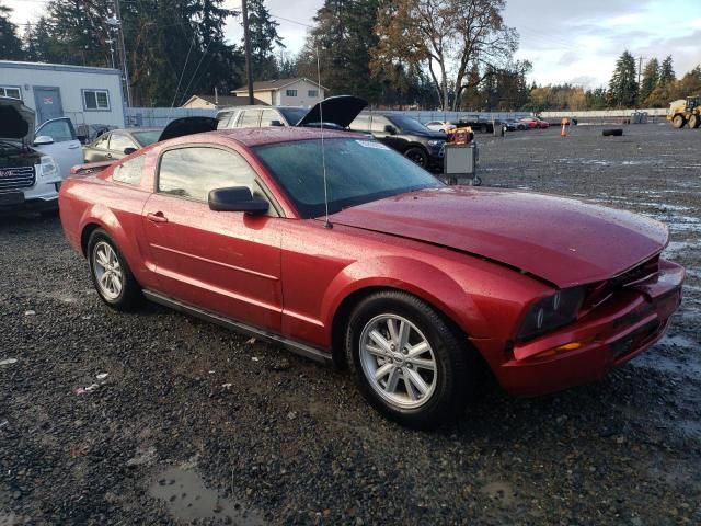 2005 Ford Mustang