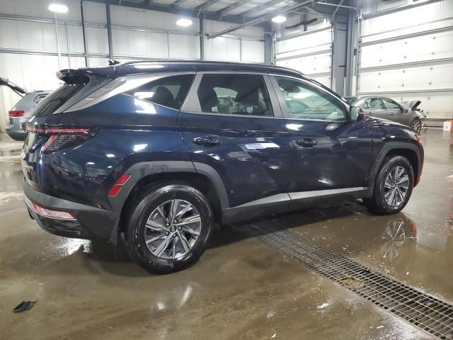 2022 Hyundai Tucson Blue