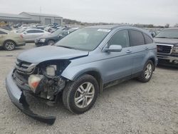 Honda salvage cars for sale: 2010 Honda CR-V EXL