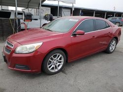 Chevrolet Malibu salvage cars for sale: 2013 Chevrolet Malibu 1LT