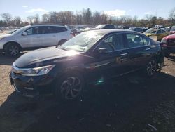 Honda Accord salvage cars for sale: 2016 Honda Accord EX