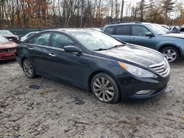 2013 Hyundai Sonata SE