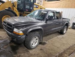 Dodge salvage cars for sale: 2003 Dodge Dakota Quad Sport