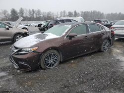 Lexus es 350 salvage cars for sale: 2017 Lexus ES 350