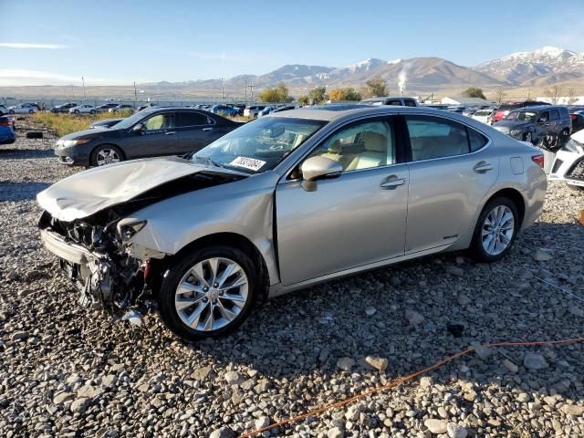 2014 Lexus ES 300H