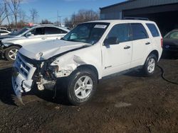 Ford Vehiculos salvage en venta: 2009 Ford Escape Hybrid