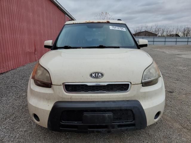 2010 KIA Soul +