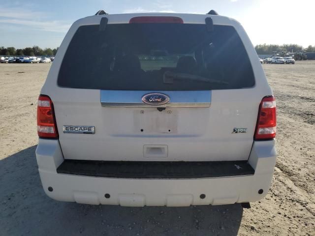 2010 Ford Escape Limited