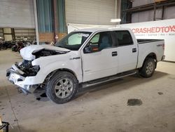 Ford salvage cars for sale: 2013 Ford F150 Supercrew