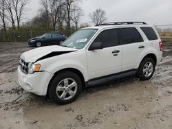 Salvage cars for sale from Copart Cicero, IN: 2012 Ford Escape XLT