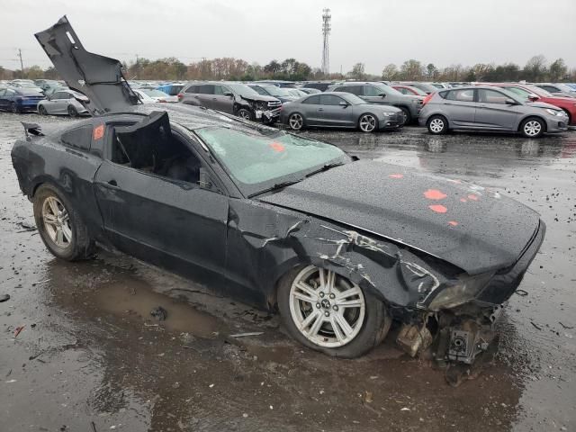 2013 Ford Mustang