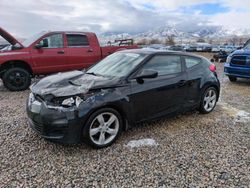 Hyundai Veloster salvage cars for sale: 2013 Hyundai Veloster