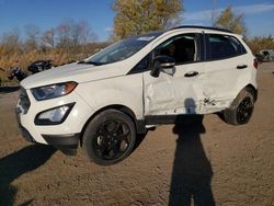 Ford Ecosport salvage cars for sale: 2021 Ford Ecosport SES