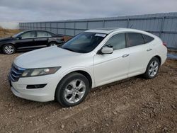 Honda salvage cars for sale: 2010 Honda Accord Crosstour EXL