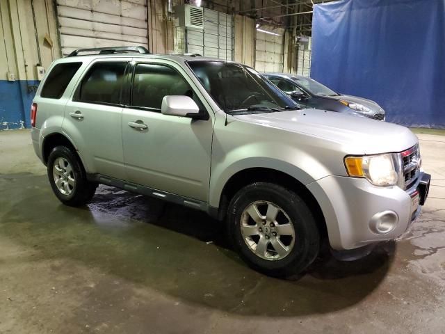 2010 Ford Escape Limited