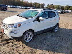 Ford Ecosport salvage cars for sale: 2021 Ford Ecosport SE