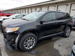 Ford Edge salvage cars for sale: 2014 Ford Edge SEL