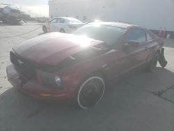 Ford Mustang salvage cars for sale: 2007 Ford Mustang